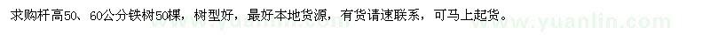 求購桿高50、60公分鐵樹