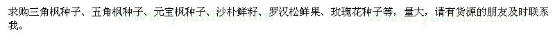 求購三角楓種子、五角楓種子、元寶楓種子