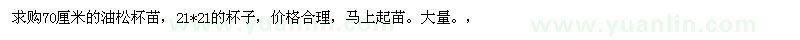 求購70公分油松杯苗