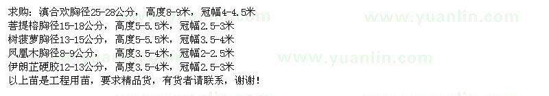 求購滇合歡、菩提榕、樹菠蘿