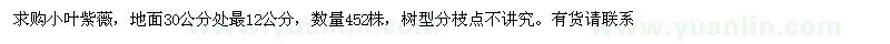 求購地面30公分處量12公分小葉紫薇