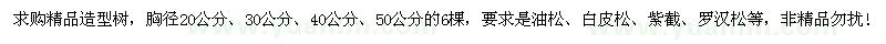 求購油松、白皮松、紫截、羅漢松等精品造型樹