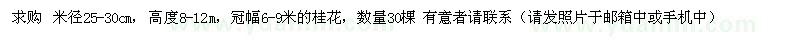 求購米徑25-30公分桂花樹