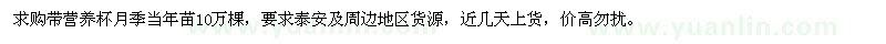 求購(gòu)月季當(dāng)年苗