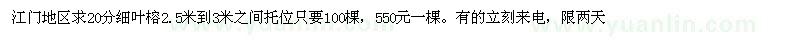 求購20公分細(xì)葉榕