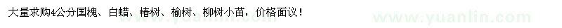 求購4公分國槐、白蠟、椿樹(shù)