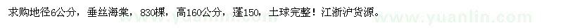 求購地徑6公分垂絲海棠
