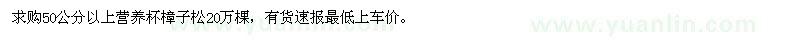 求購50公分以上營養(yǎng)杯樟子松