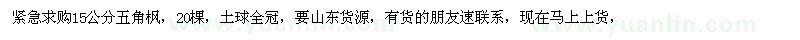 求購(gòu)15公分五角楓