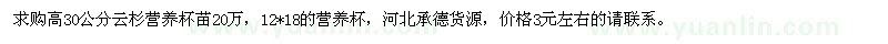 求購高30公分云杉營養(yǎng)杯苗