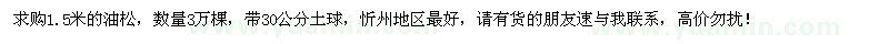 求購(gòu)1.5米油松