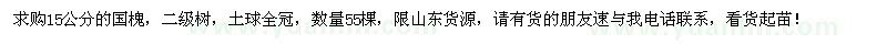求購15公分國槐