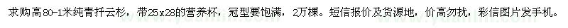 求購高80-1米純青扦云杉
