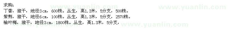 求購丁香、紫荊、榆葉梅