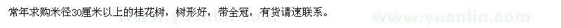 求購米徑30公分以上桂花樹