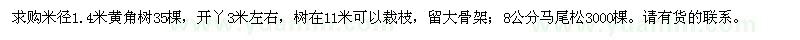 求購米徑1.4米黃角樹、8公分馬尾松