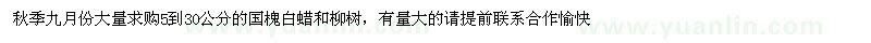 求購5-30公分國槐、白蠟、柳樹(shù)