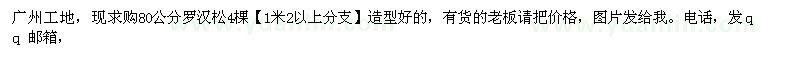 求購(gòu)80公分羅漢松