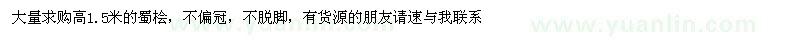 求購(gòu)高1.5米蜀檜 