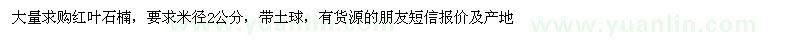 求購米徑2公分紅葉石楠