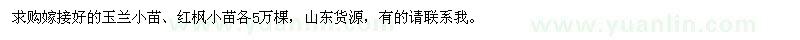 求購嫁接玉蘭小苗、紅楓小苗