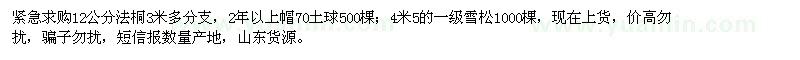 求購(gòu)12公分法桐、4.5米雪松