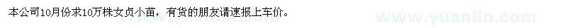 求購(gòu)一、二生女貞小苗
