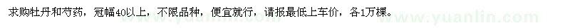 求購冠幅40以上牡丹、芍藥