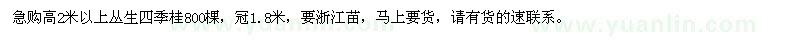 求購高2米以上叢生四季桂