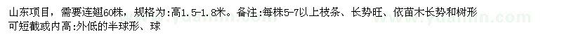 求購高1.5-1.8米連翹