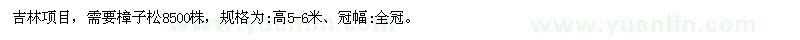 求購高5-6米樟子松