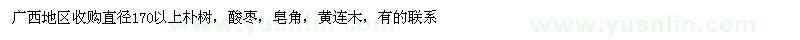 求購收購直徑170以上樸樹