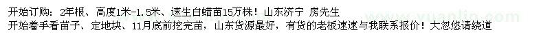 求購1-1.5米速生白蠟苗