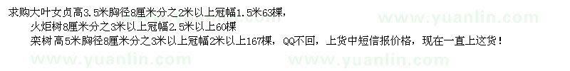 求購大葉女貞、火炬樹、欒樹