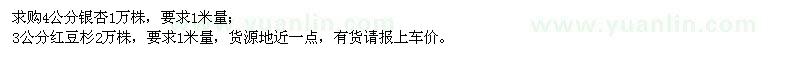 求購4公分銀杏、3公分紅豆杉