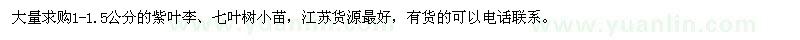 求購(gòu)1-1.5公分紫葉李、七葉樹(shù)小苗