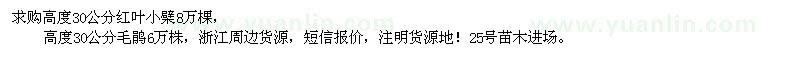 求購(gòu)紅葉小檗、毛鵑