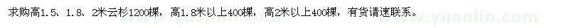 求購高1.5、1.8、2米云杉