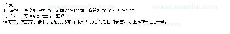 求購20公分烏桕