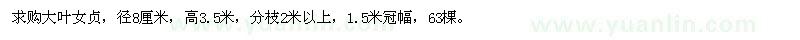 求購8公分大葉女貞