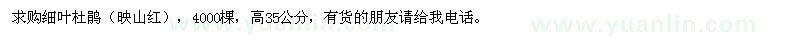 求購高35公分細(xì)葉杜鵑