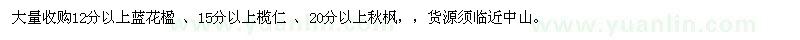 求購藍花楹、欖仁、秋楓