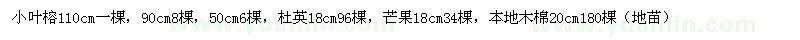 求購110公分小葉榕