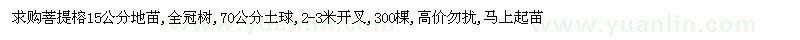 求購菩提榕