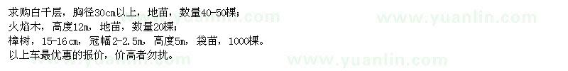 求購白千層、火焰木、樟樹