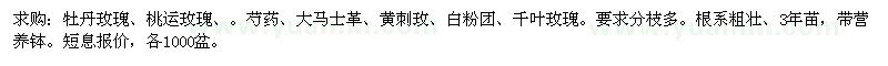 求購(gòu)營(yíng)養(yǎng)缽3年大玫瑰苗