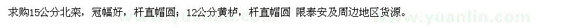 求購(gòu)15公分北欒、12公分黃櫨