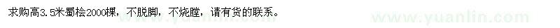 求購(gòu)高3.5米蜀檜