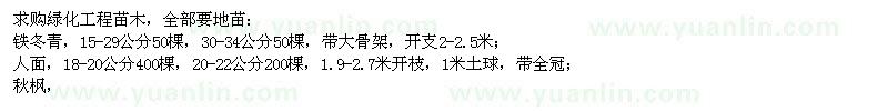 求購鐵冬青、人面、秋楓