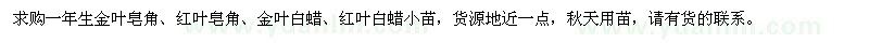 求購(gòu)一年生金葉皂角、紅葉皂角、金葉白蠟、紅葉白蠟小苗